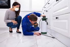 Best Emergency Pest Control  in Wayne, MI